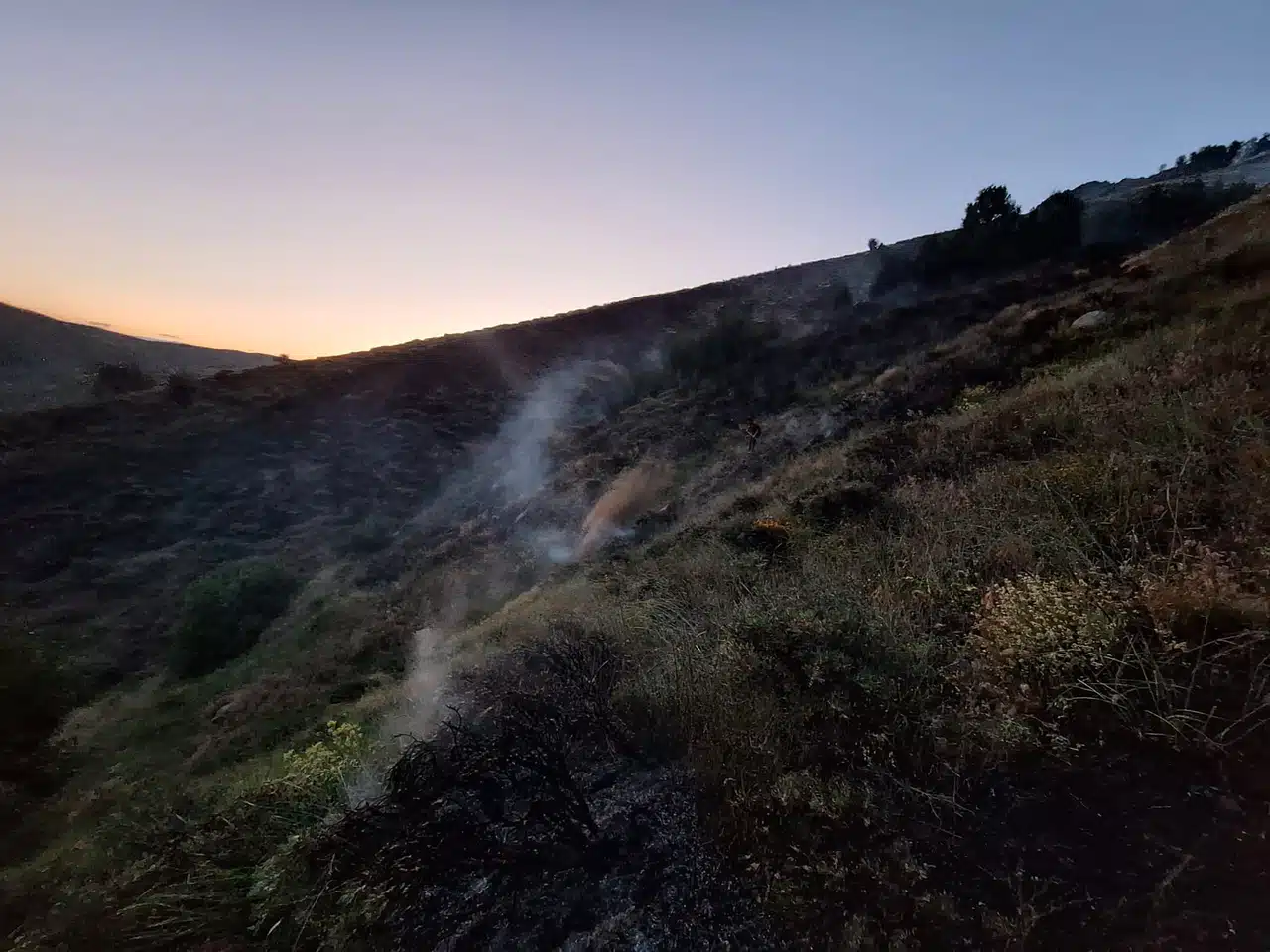 Bingöl Genç’te orman yangını kontrol altına alındı