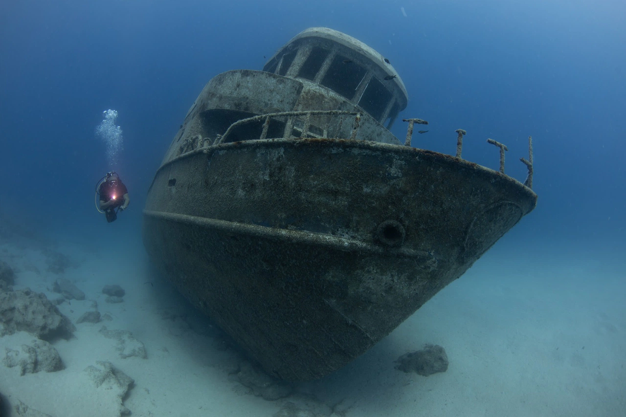 Kaş su altı zenginlikleriyle dalış turizminde parlıyor