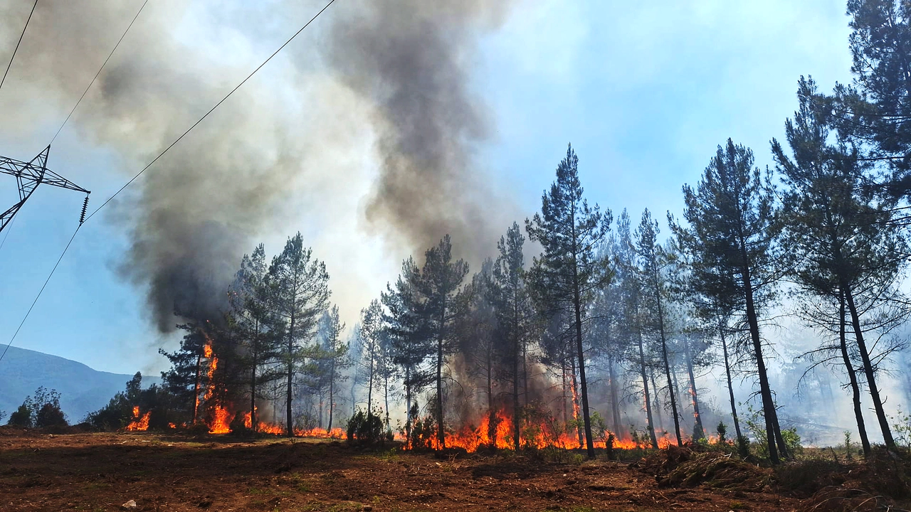 Cumayanı köyündeki yangına helikopter destekli müdahale