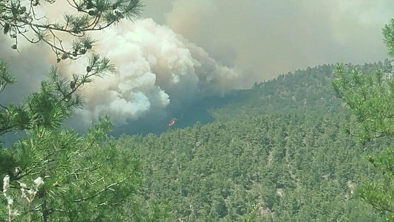 Sakarya’daki orman yangını Bilecik’e sıçradı