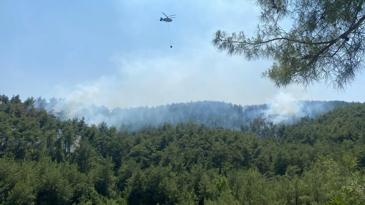 Osmaniye’de orman yangını ekipler seferber oldu