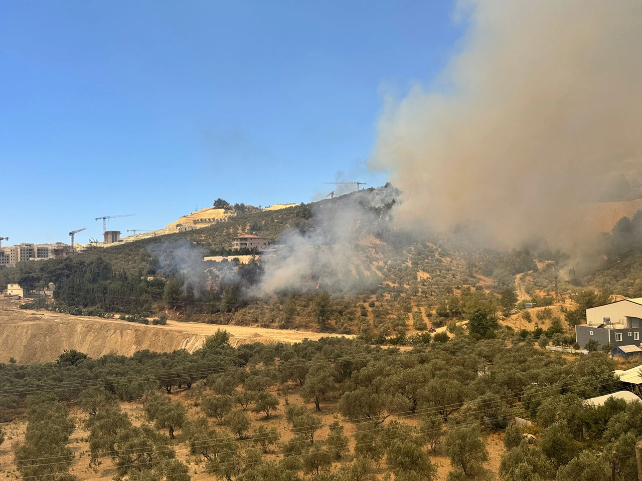 Hatay Antakya’da orman yangınına müdahale sürüyor