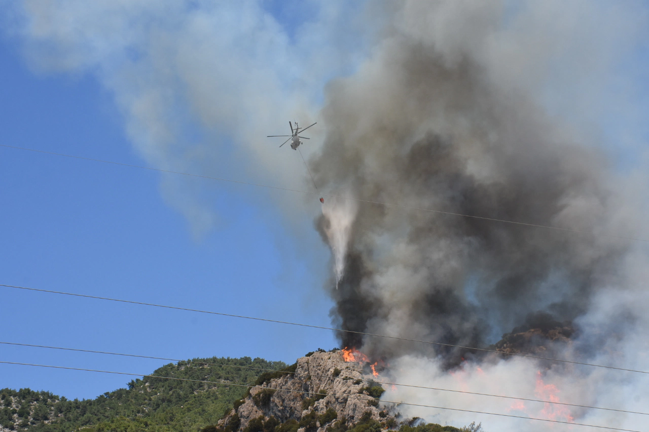Bodrum’da orman yangınına havadan ve karadan müdahale