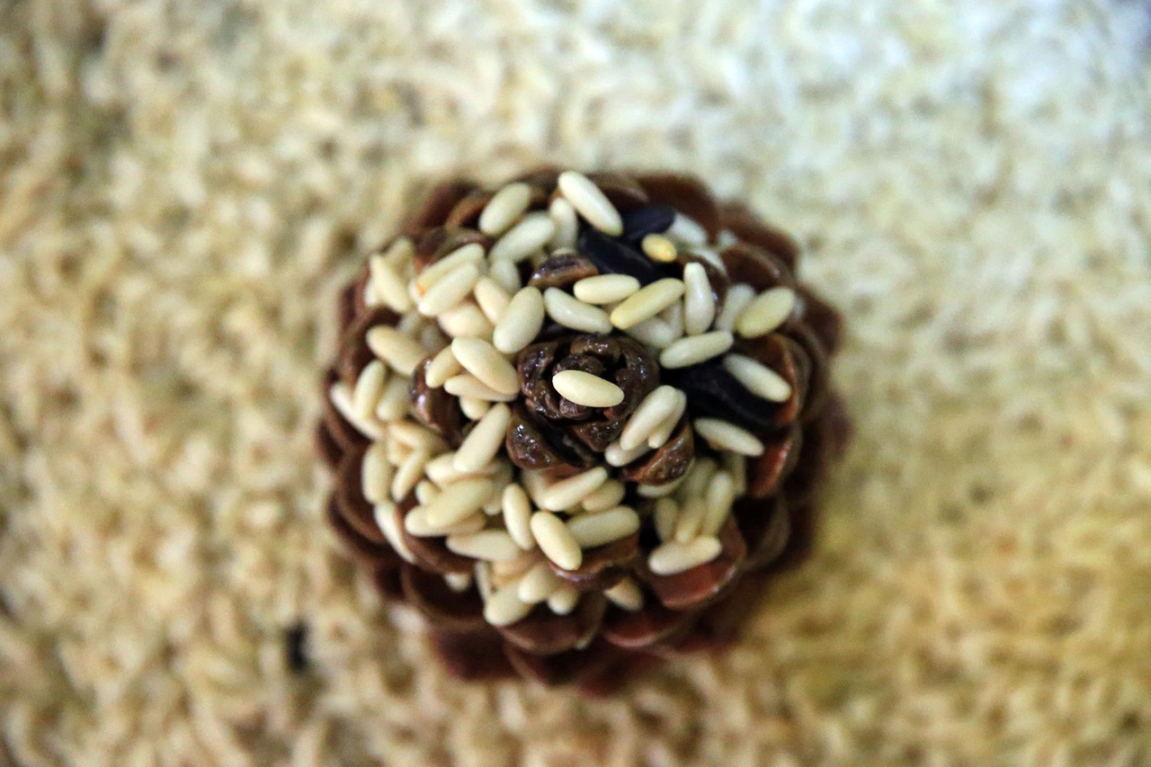 Aydın çam fıstığına AB’den coğrafi işaret