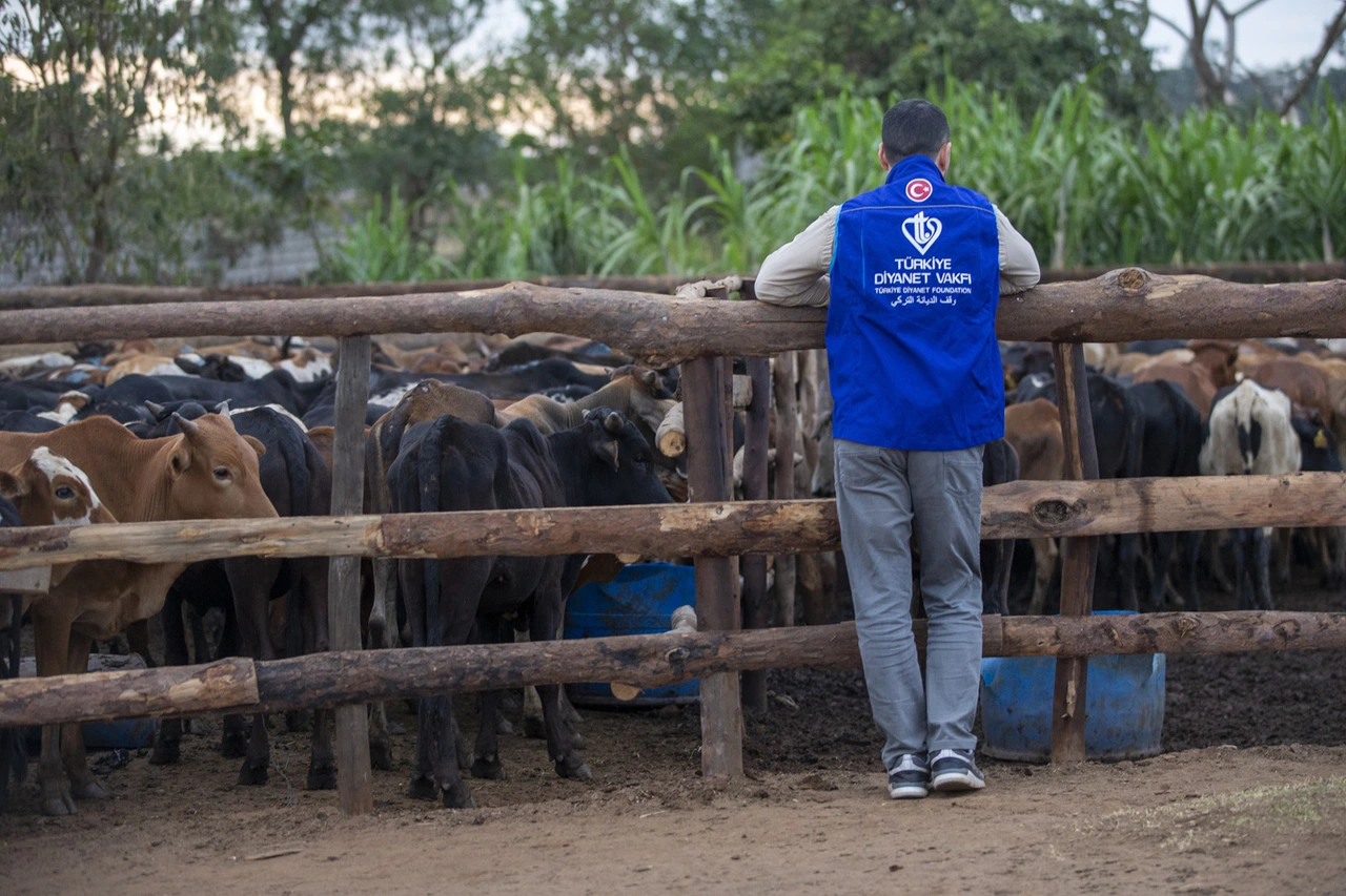 Kurbanlık etler Konya'da ihtiyaç sahiplerine ulaştırılmaya başladı