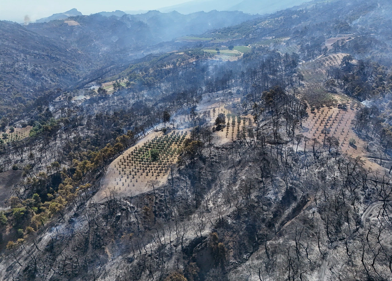 Manisa’da 3 ilçede orman yangınları büyüyor
