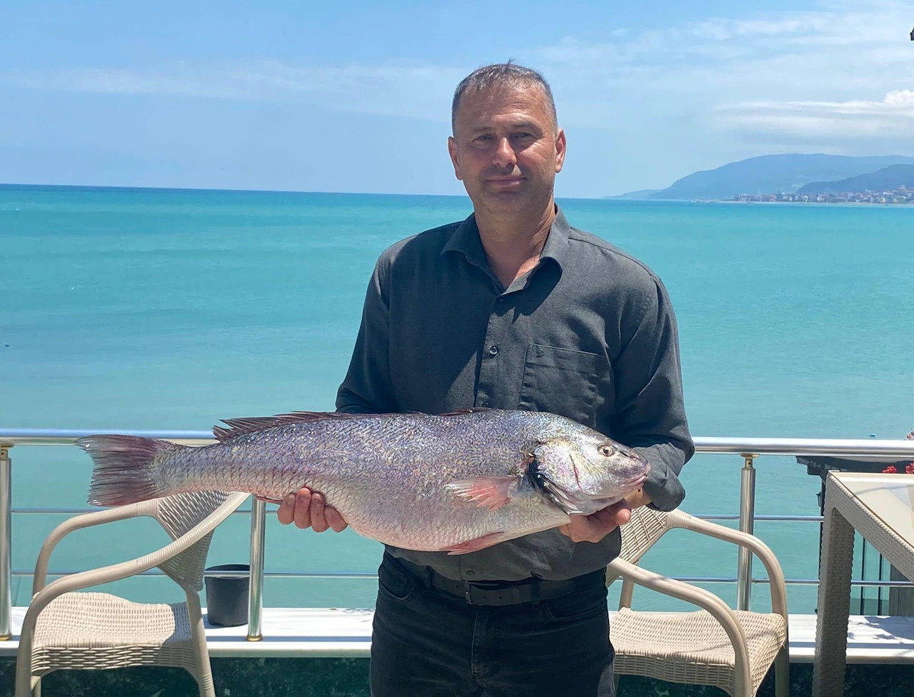Sinop Türkeli açıklarında 6,5 kiloluk kötek balığı yakalandı