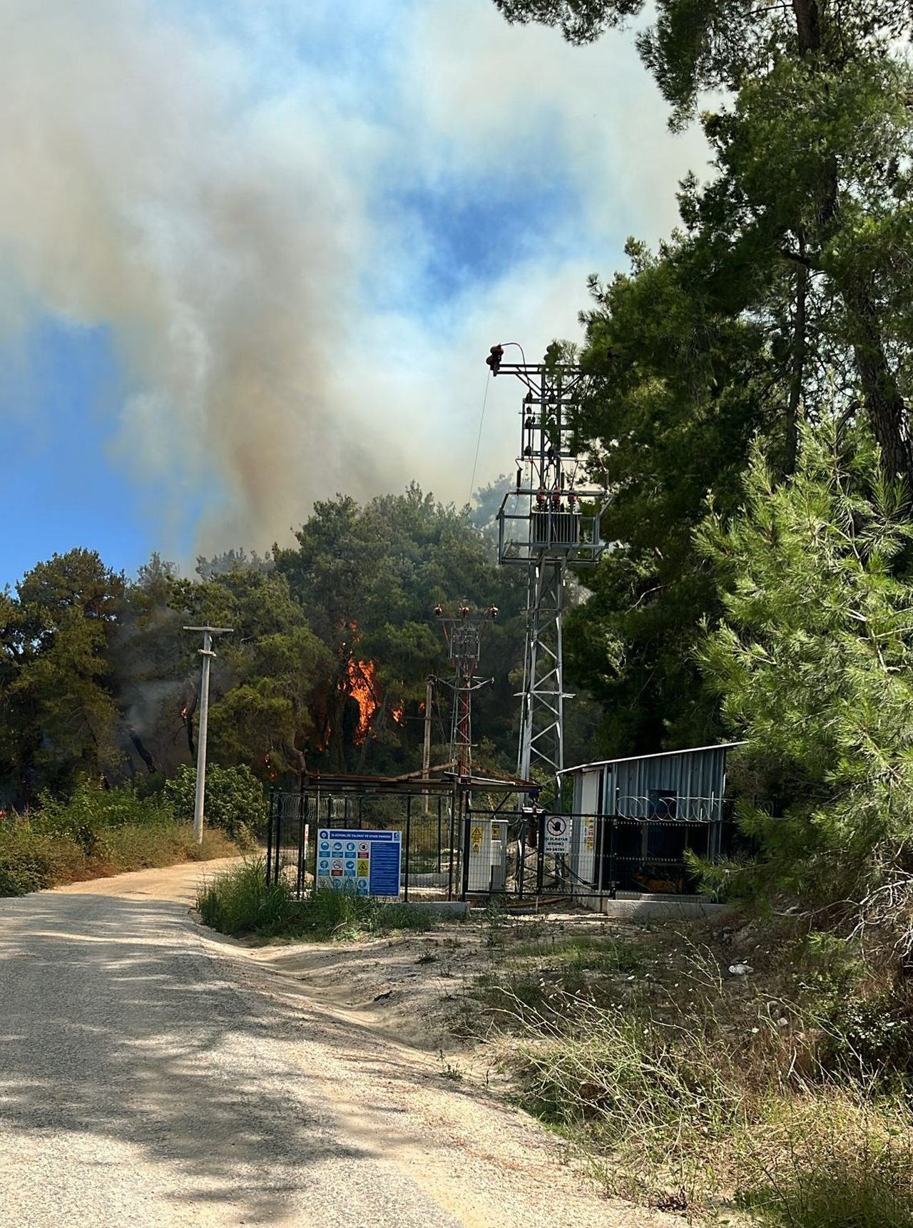 Antalya Manavgat’ta orman yangını çıktı!