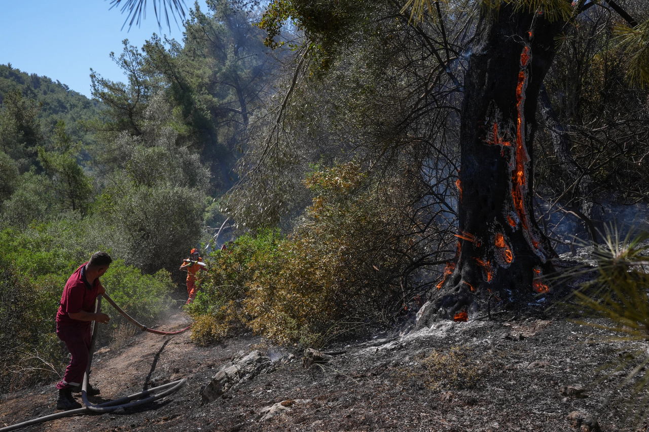 İzmir’de orman işçileri yangınla gece gündüz mücadele ediyor
