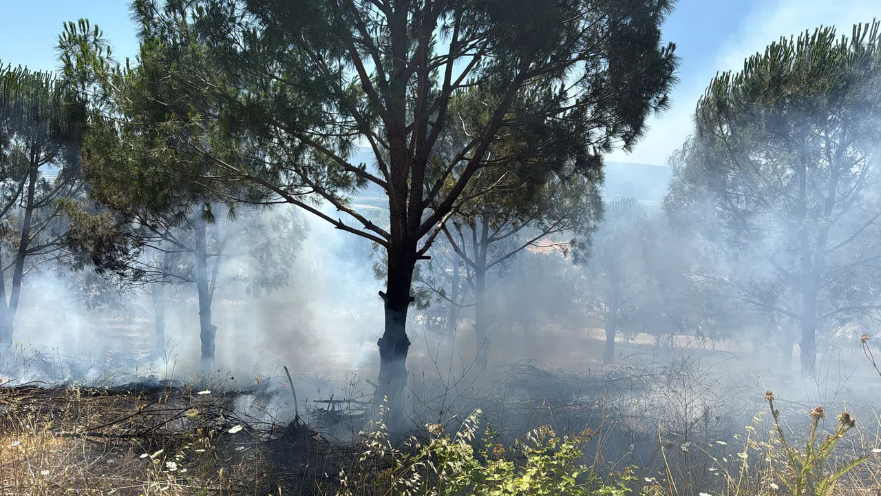 Bursa Nilüfer’deki yangın kontrol altına alındı