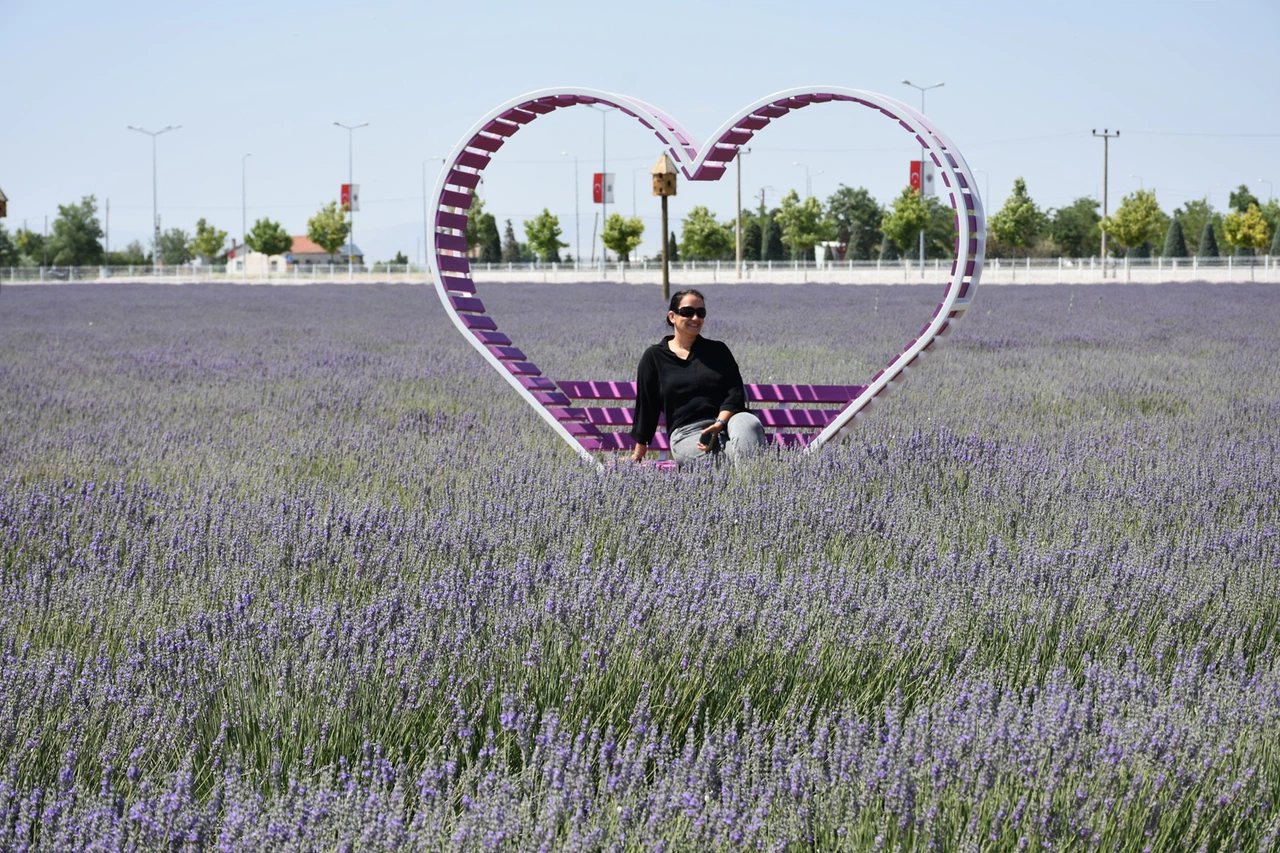 Karatay Lavanta Bahçesi 500 bin ziyaretçi bekliyor