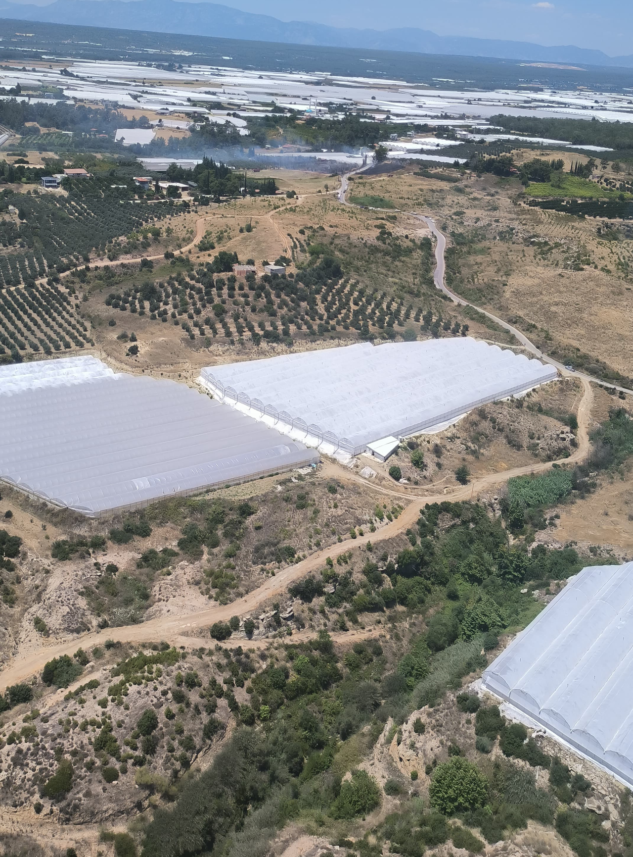 Antalya Aksu’da makilik alanda yangın paniği