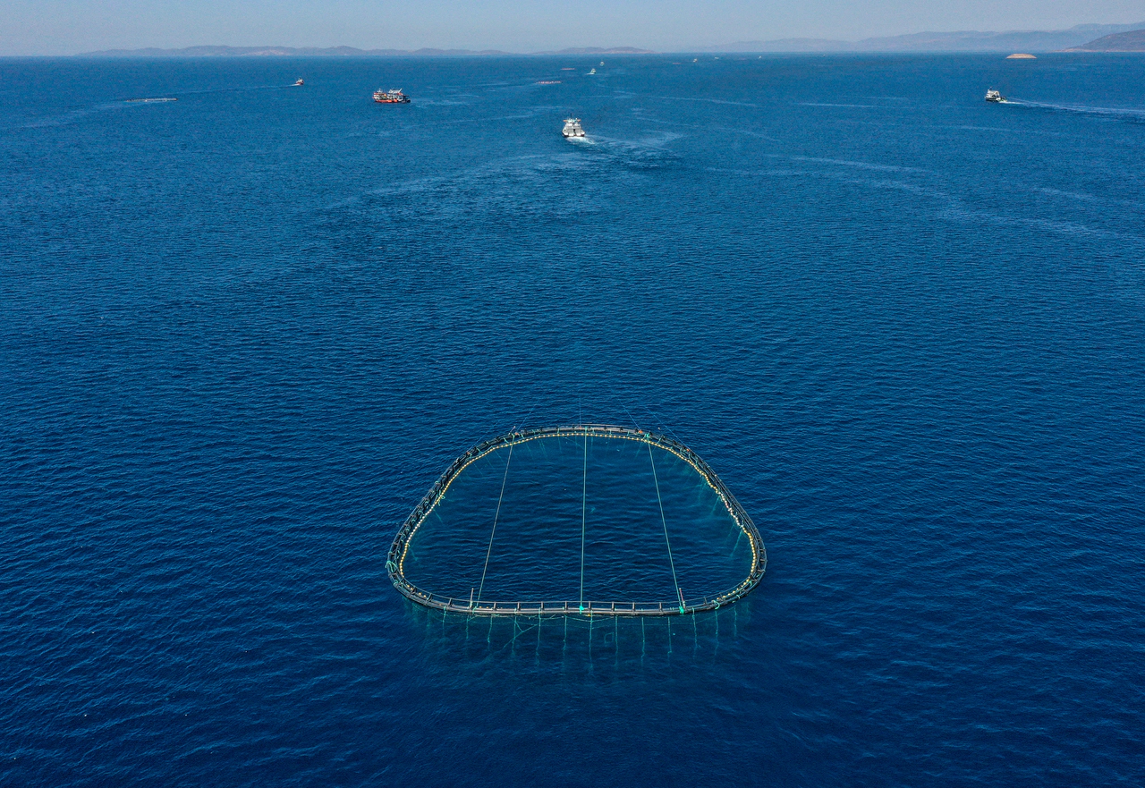 Orkinos avında Çeşme Boğazı geçişi başarıyla tamamlandı