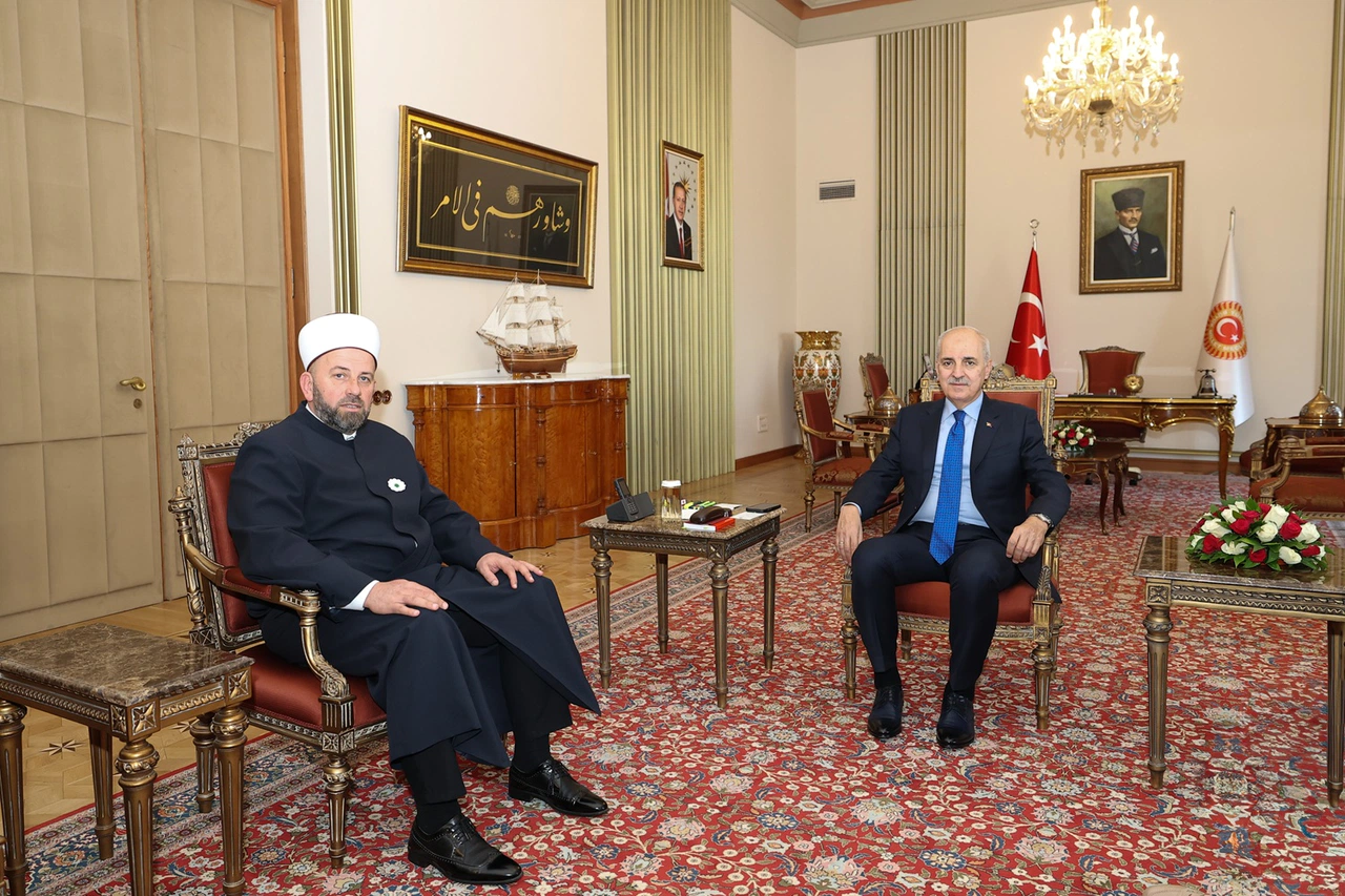 TBMM Başkanı Kurtulmuş, Fejzic ile bir araya geldi
