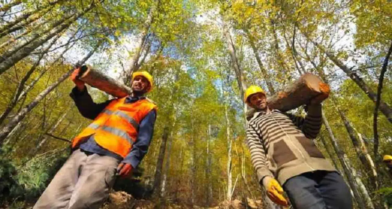 Tarım ve Orman Bakanlığı 496 Personel Alımı Yapacak! İşte Kadro Dağılımı, Başvuru Koşulları ve Süreç Detayları