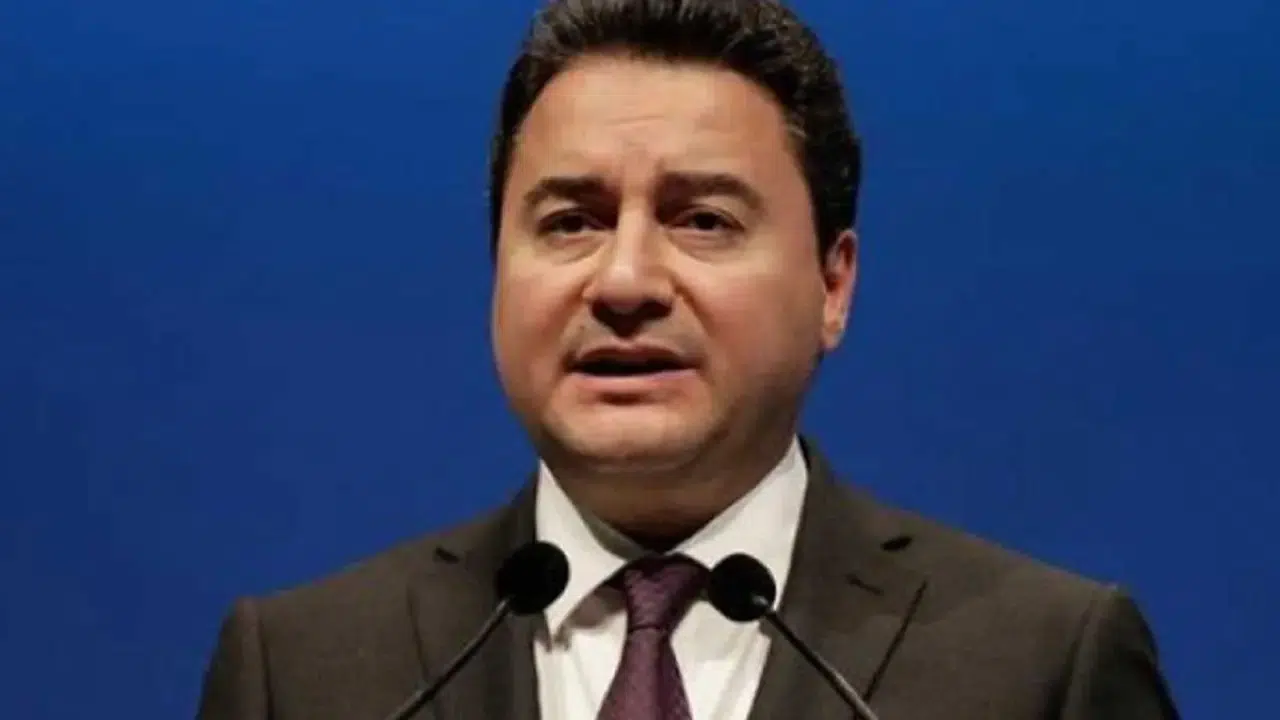 Babacan: Sayın Erdoğan'ın Konuyu Sahiplenmediğini Gördük