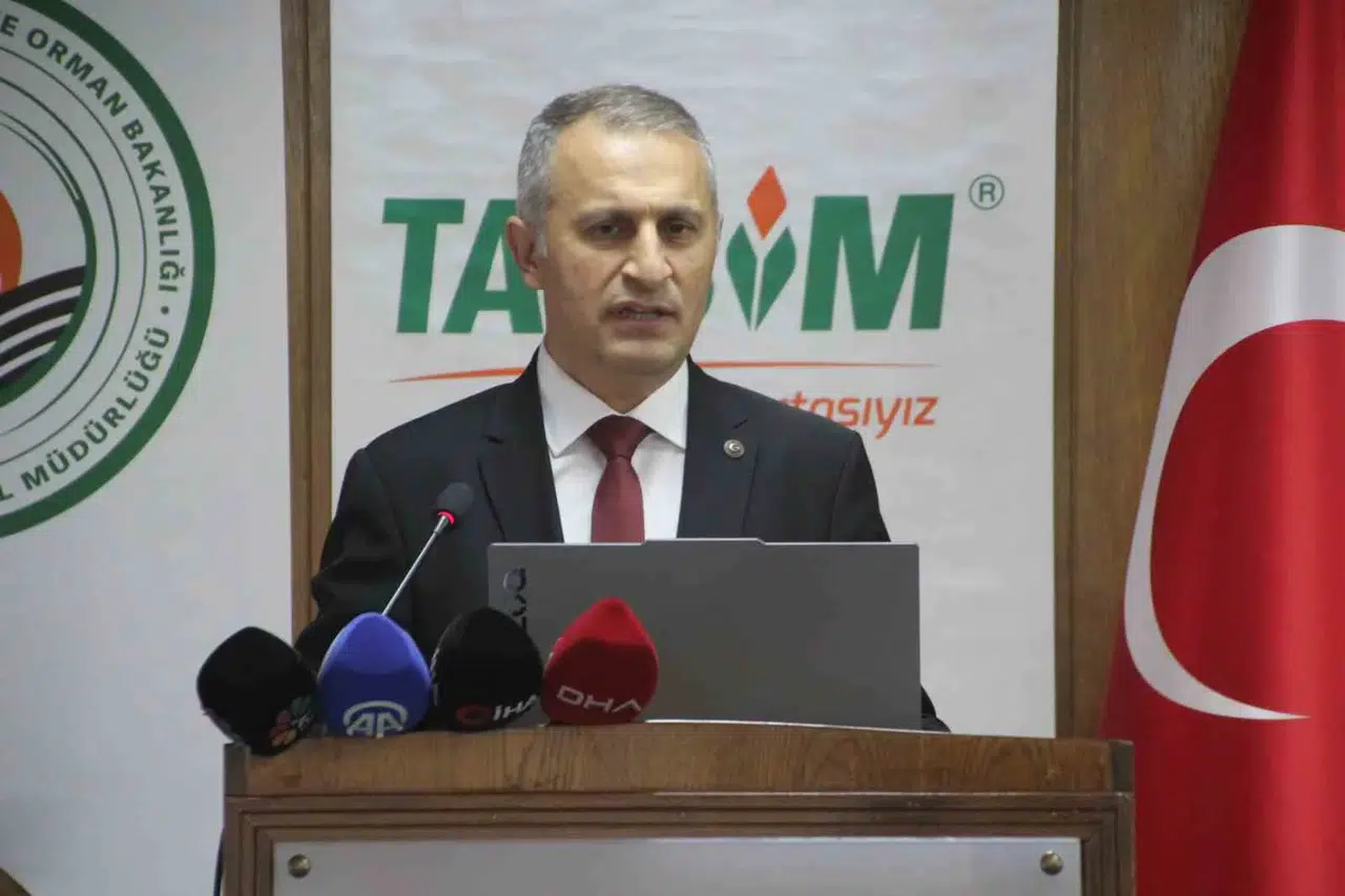 Ordu, Türkiye'nin En Fazla Bal Üretimi Yapan İli