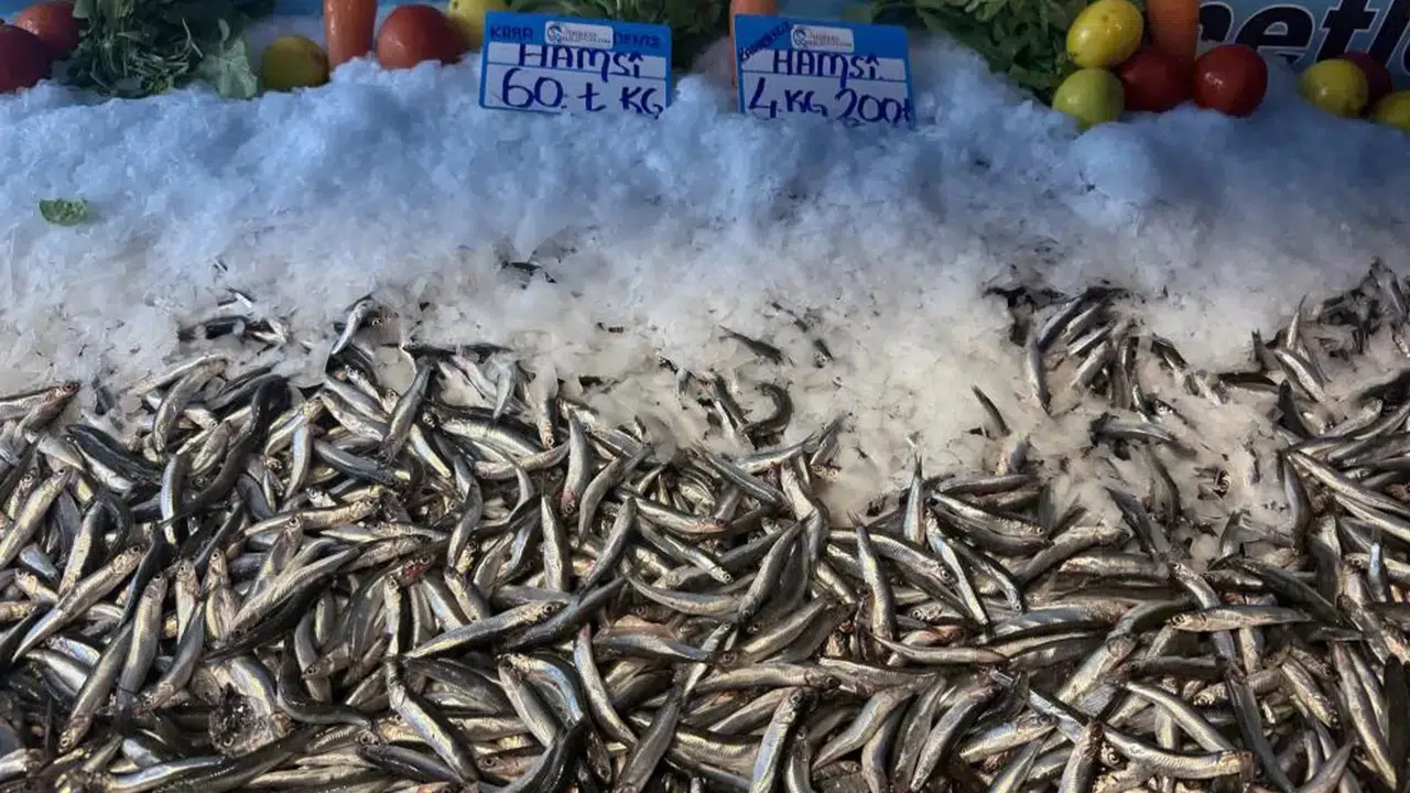 Tezgahlarda Hamsi Şenliği: 4 Kilo Hamsi 200 TL!