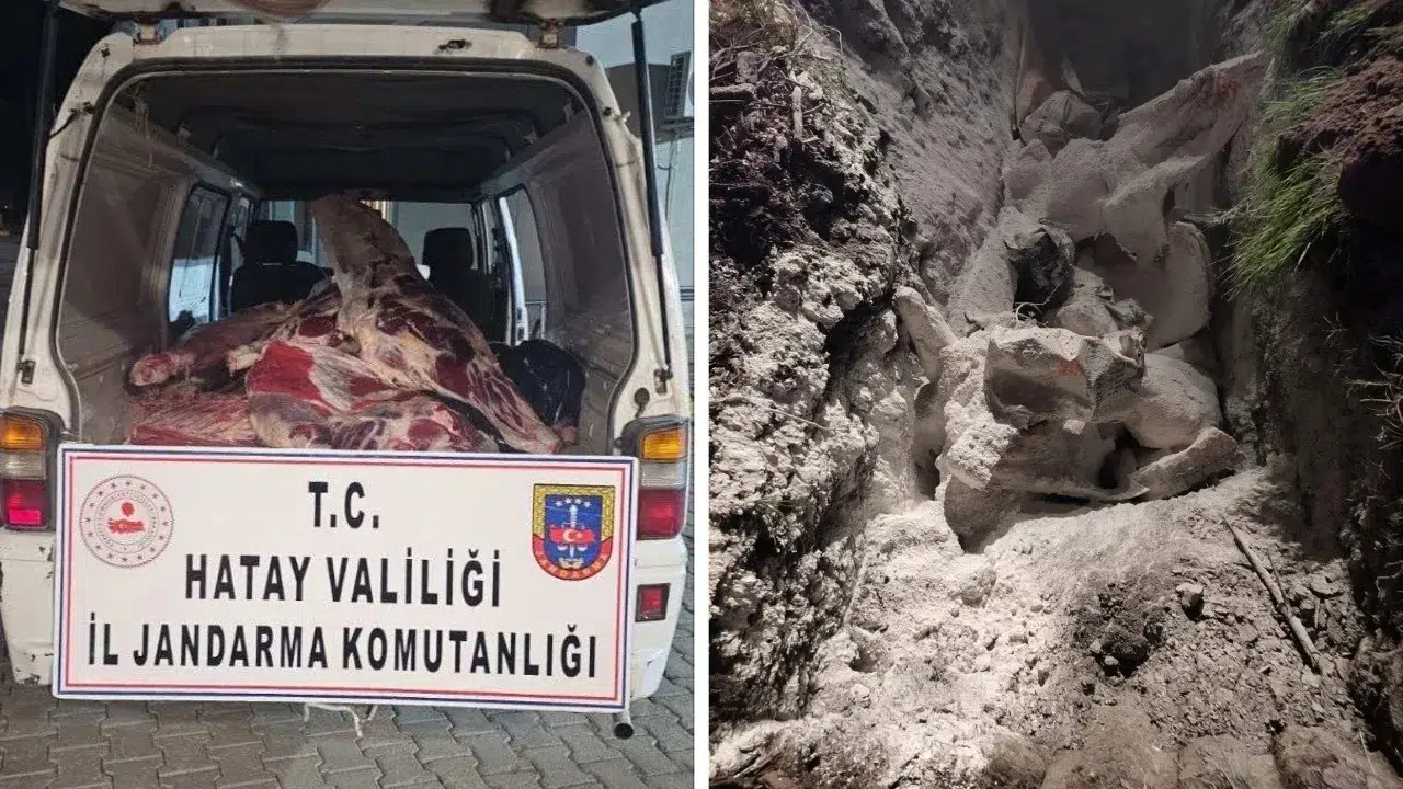 Hatay'da 1 Ton Menşei Belirsiz Kırmızı Et İmha Edildi