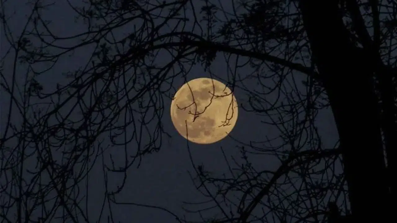 2025 Aralık Dolunayı Ne Zaman? İkizler Burcunda Gerçekleşecek Yılın Son Dolunayına Dair Her Şey