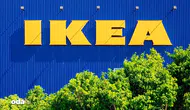 IKEA'dan Milyon Dolarlık Orman Yatırımı