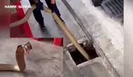Dev Yılan Operasyonu İzlenme Rekoru Kırdı