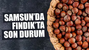 15 Şubat 2026 Pazar Fındık Fiyatları Ne Durumda? Samsun'da Fındık Fiyatları Yükseliyor Mu?