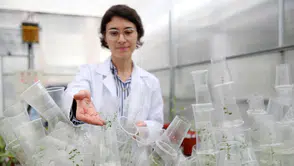 Türk Bilim Kadını Uzay Biyolojisine Önemli Katkılar Sunuyor