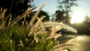 2026 Cemre Düşme Tarihleri: Bahar Geliyor! 2. Cemre Ne Zaman Düşecek?