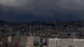 Ankara'ya Gelen Martılar, Denize Hasret Kaldı mı?