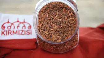 Osmanlı’nın Kayıp Rengi Geri Döndü: Çiftçinin Yeni Gelir Kapısı Oldu