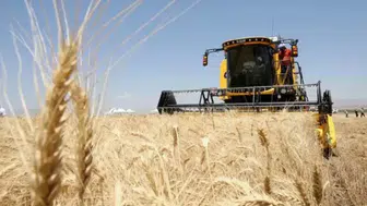 Türkiye'nin Hububat, Bakliyat ve Yağlı Tohumlar İhracatı 10 Ayda 10 Milyar Doları Aştı