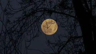 2025 Aralık Dolunayı Ne Zaman? İkizler Burcunda Gerçekleşecek Yılın Son Dolunayına Dair Her Şey