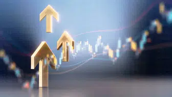 THY, Tüpraş ve Bim’den Temettü: Eylül 2025’te Hangi Şirketler Ne Kadar Temettü Ödeyecek?