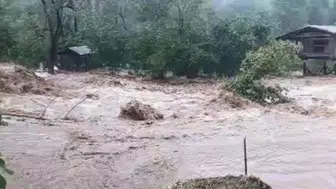 Artvin'de Sel Felaketi: Yollar Kapandı ve Tesisler Su Altında Kaldı