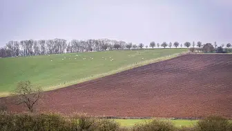 Gübre Fiyatları 2026 Yılı İtibarıyla Ne Durumda? İGSAŞ, Toros ve BAGFAŞ Fiyatları Açıklandı