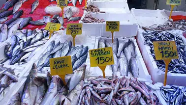 Hamsi Sezonu Sona Erdi, Balık Tezgahlarında Ne Değişti?