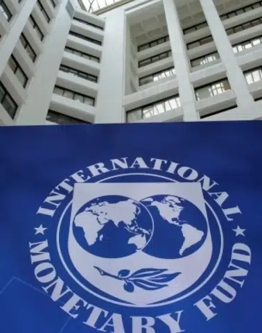 IMF'den Yapay Zeka Yatırımlarına 'Balon' Uyarısı