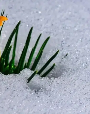 2026 Cemre Düşme Takvimi: İlk Cemre Havaya Düştü, İkinci Cemre Ne Zaman ve Nereye Düşecek?