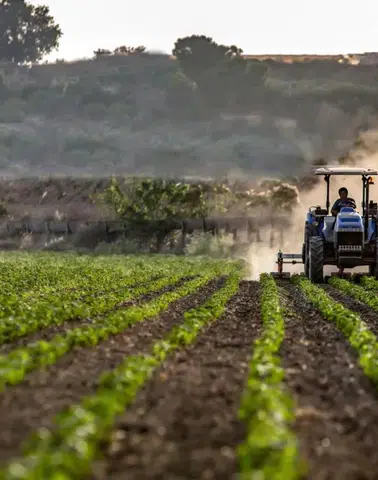 Ocak Ayında Yağışlar Artarken Tarımsal Üretimde Olumlu Gelişmeler Bekleniyor