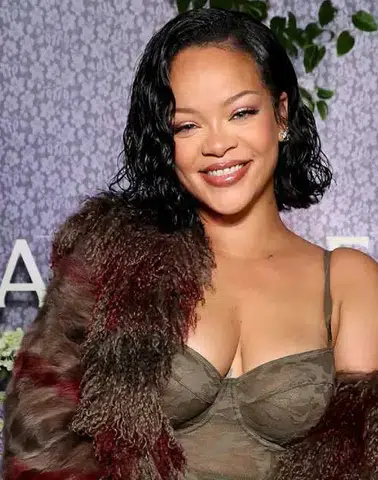 Rihanna'nın Malikanesine Saldıran Zanlıya 14 Suçlama Yöneltildi Mi?