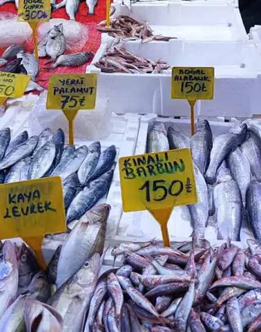 Hamsi Sezonu Sona Erdi, Balık Tezgahlarında Ne Değişti?