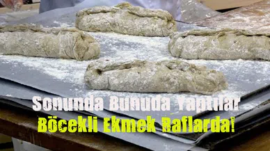 Finlandiya'da böcekli ekmek satışa sunuldu!