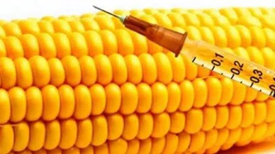 Zehir gibi karar; Nişasta bazlı şeker’e ithalat izni