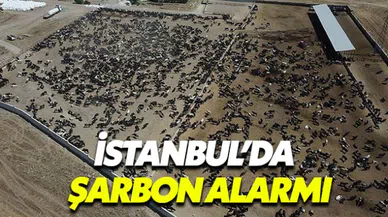 Orman Bakanı'ndan şarbon açıklaması: 3500 hayvan aşılacak