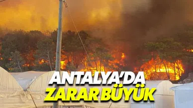Antalya'daki orman yangınında hasar büyük