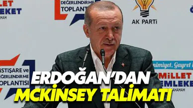 Erdoğan'dan McKinsey talimatı: Danışmanlık hizmeti almayacaksınız