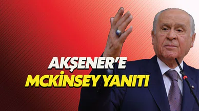 Devlet Bahçeli'den McKinsey savunması