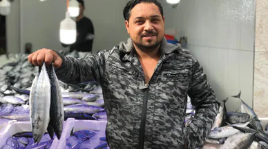 Palamut bolluğu Sinoplular'ın yüzünü güldürdü