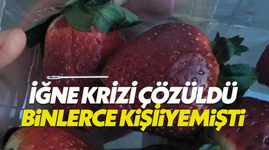 Avustralya'da çileklerin içinden çıkan iğnenin gizemi çözüldü